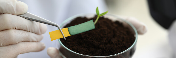 Methods for determining pH in pH Paper