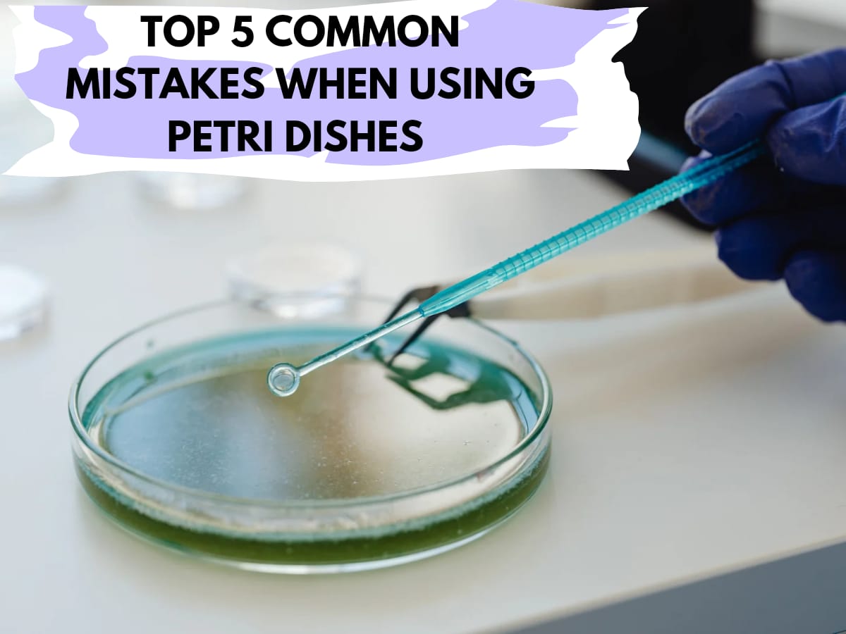 Top 5 Common Mistakes When Using Petri Dishes And How To Avoid Them