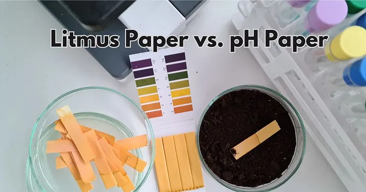 pH Paper And Litmus Paper: Which is the Most Accurate for Your Experiments?