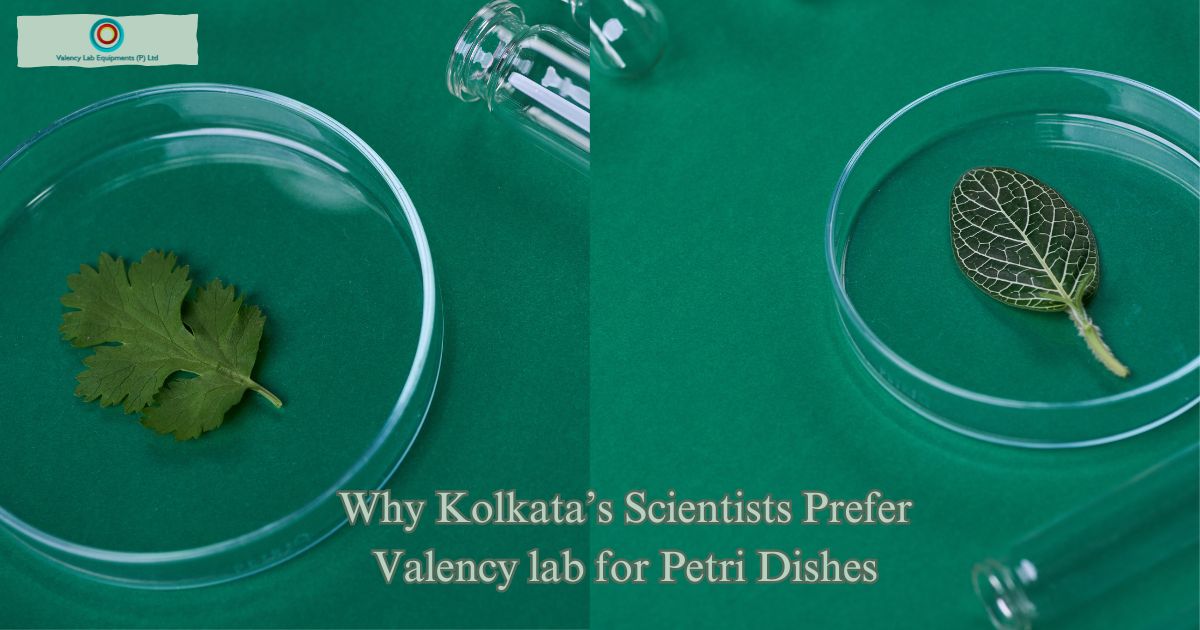 Why Kolkata’s Scientists Prefer Valency lab for Petri Dishes