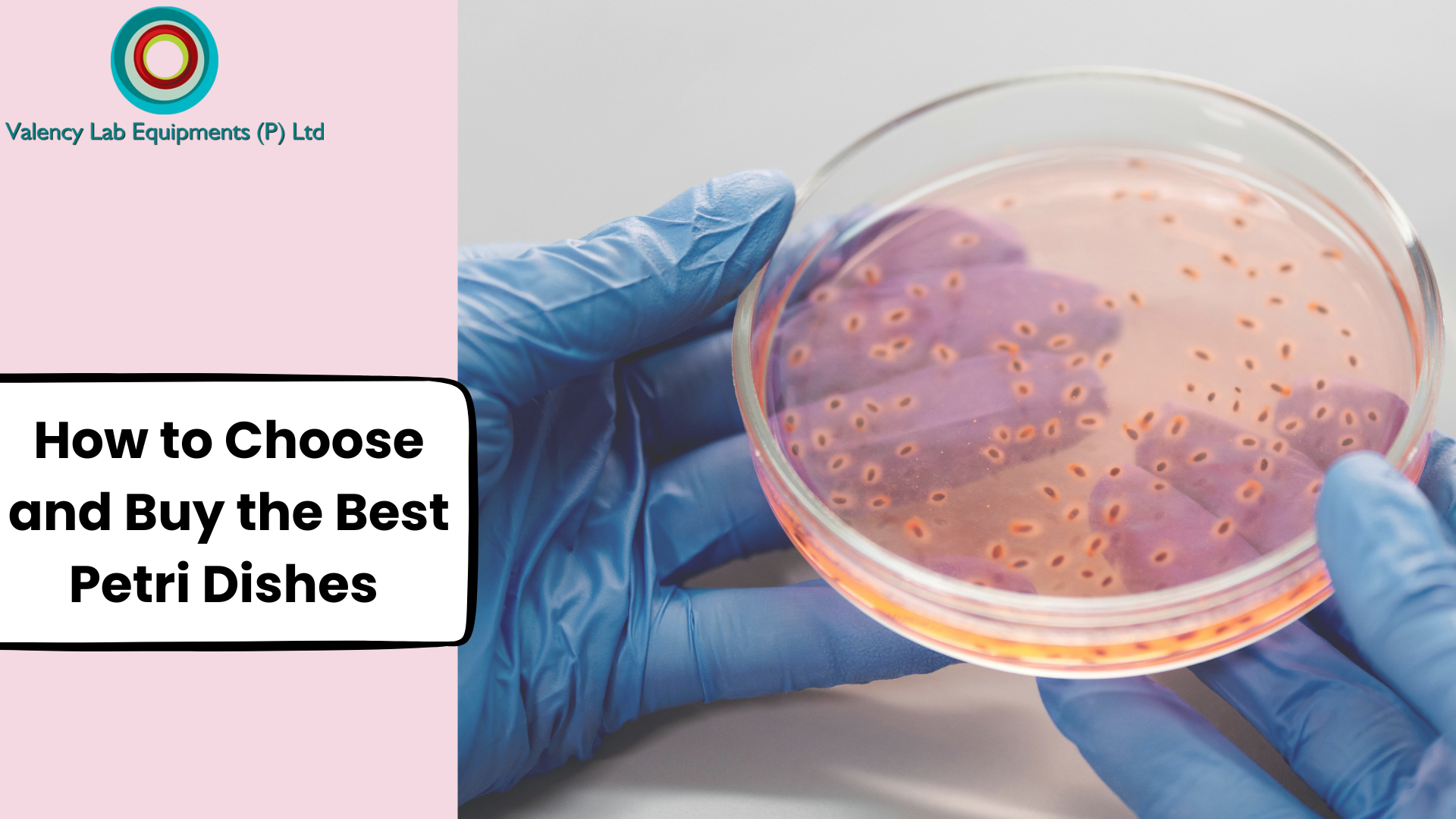 How to Choose and Buy the Best Petri Dishes Online in Sikkim