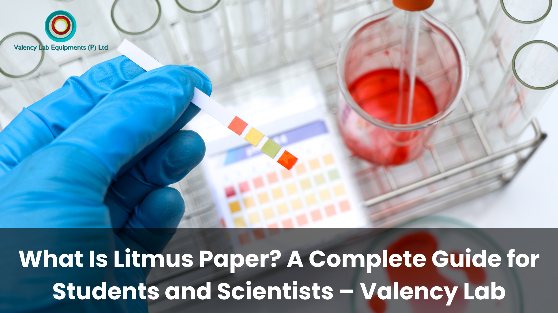 What Is Litmus Paper? A Complete Guide for Students and Scientists – Valency Lab